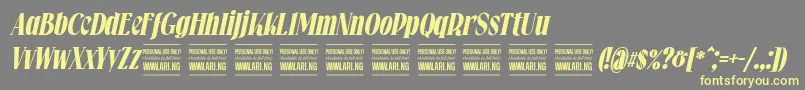 Falkinserifbolditalicpersonal Font – Yellow Fonts on Gray Background