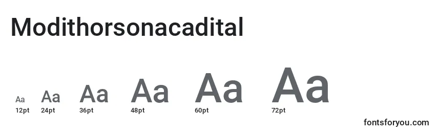 Modithorsonacadital Font Sizes