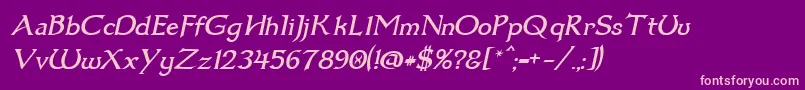 Dum1ital Font – Pink Fonts on Purple Background