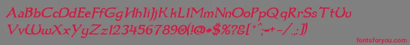 フォントDum1ital – 赤い文字の灰色の背景