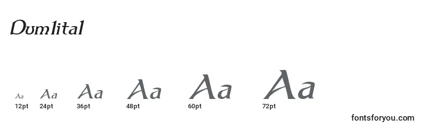 Dum1ital Font Sizes