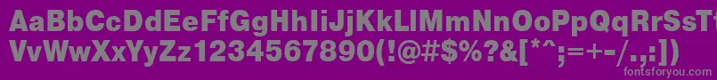 PragmaticaCondensedBlack Font – Gray Fonts on Purple Background