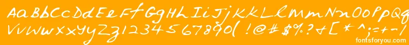 フォントLehn079 – オレンジの背景に白い文字