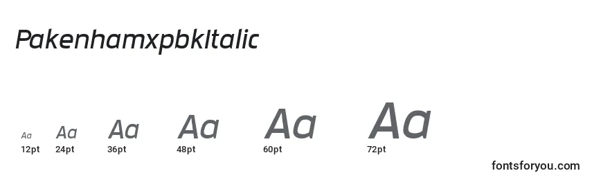 PakenhamxpbkItalic Font Sizes