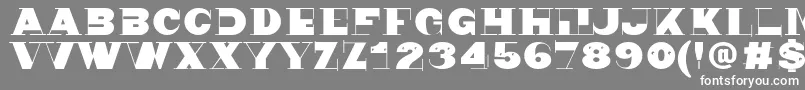 Nonsen72 Font – White Fonts on Gray Background