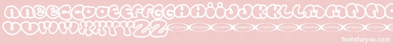 Tolo ffy Font – White Fonts on Pink Background