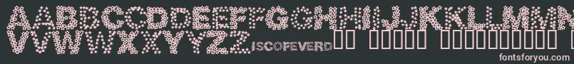 Discotec Font – Pink Fonts on Black Background