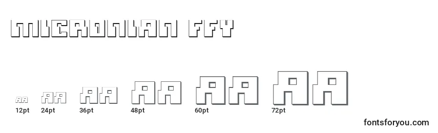 Micronian ffy Font Sizes