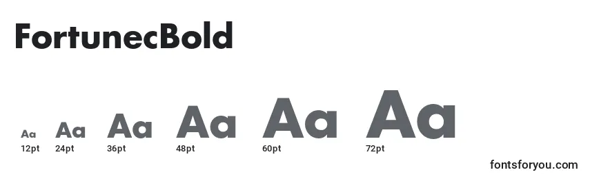 FortunecBold Font Sizes