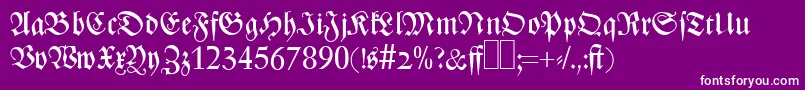 Z690BlackletterRegular Font – White Fonts on Purple Background