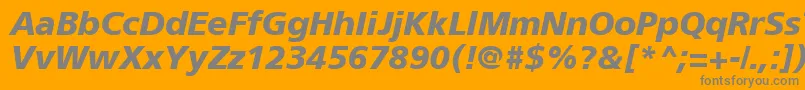 ForeignerBoldItalic Font – Gray Fonts on Orange Background