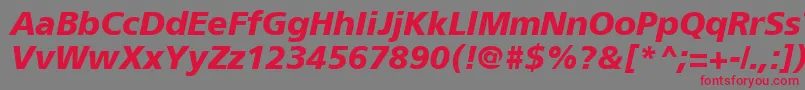 ForeignerBoldItalic Font – Red Fonts on Gray Background