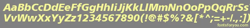 ForeignerBoldItalic Font – Yellow Fonts on Gray Background