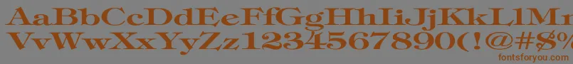 TimpaniBoldEx Font – Brown Fonts on Gray Background