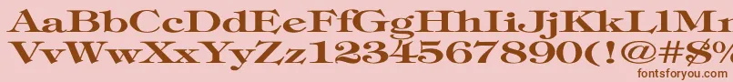 TimpaniBoldEx Font – Brown Fonts on Pink Background