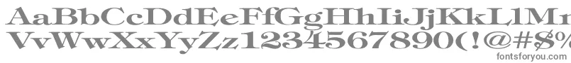 TimpaniBoldEx-fontti – harmaat kirjasimet valkoisella taustalla