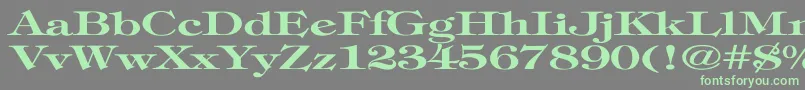 TimpaniBoldEx Font – Green Fonts on Gray Background