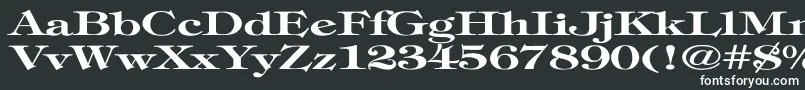 TimpaniBoldEx Font – White Fonts