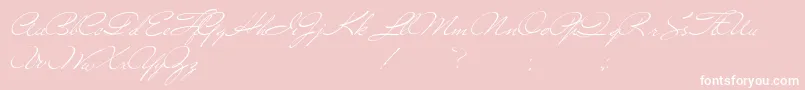 Versitia-Schriftart – Weiße Schriften auf rosa Hintergrund