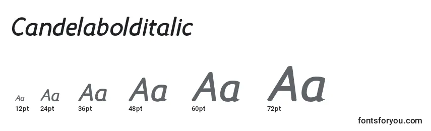 Candelabolditalic Font Sizes