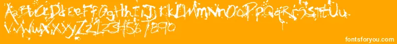 FhObscene-Schriftart – Weiße Schriften auf orangefarbenem Hintergrund