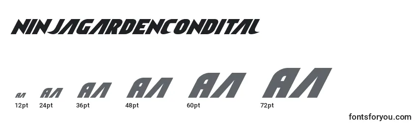 Ninjagardencondital Font Sizes