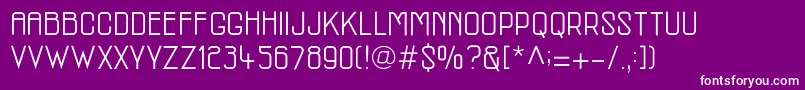 McmRegular Font – White Fonts on Purple Background