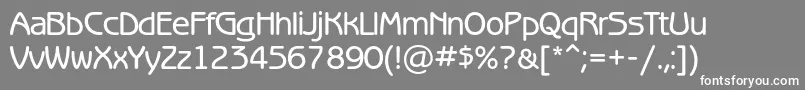 Benguiatgothicmediumc Font – White Fonts on Gray Background
