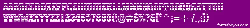 AMonumentotitulstrnr Font – White Fonts on Purple Background