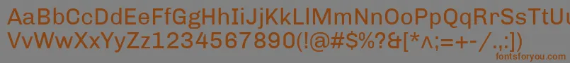 Шрифт ChivoRegular – коричневые шрифты на сером фоне