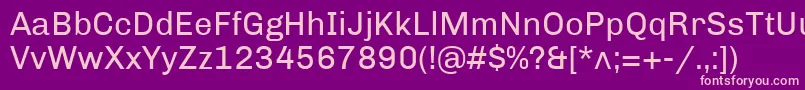 ChivoRegular Font – Pink Fonts on Purple Background