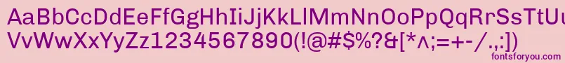 fuente ChivoRegular – Fuentes Moradas Sobre Fondo Rosa