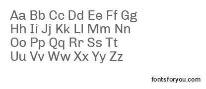 ChivoRegular Font