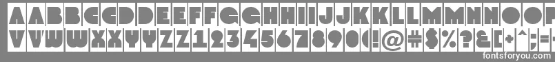 フォントGrotocmNormal – 灰色の背景に白い文字