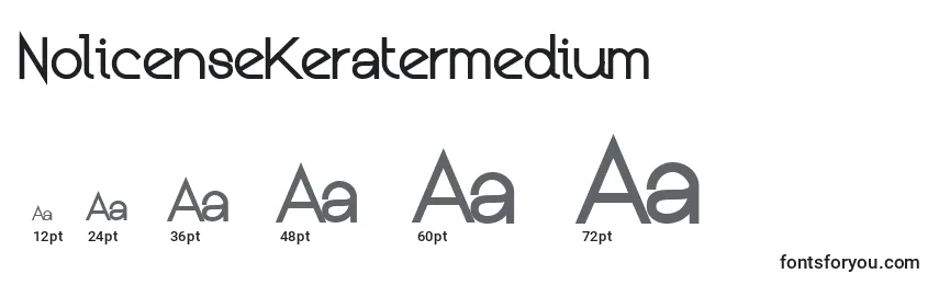 NolicenseKeratermedium Font Sizes