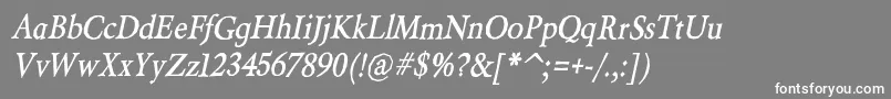 BeryliumBdIt Font – White Fonts on Gray Background