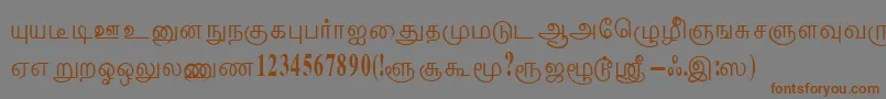 ThenmoliRegular Font – Brown Fonts on Gray Background