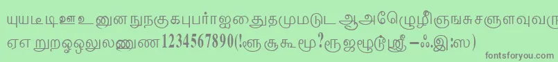 ThenmoliRegular Font – Gray Fonts on Green Background