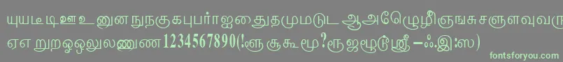 ThenmoliRegular Font – Green Fonts on Gray Background