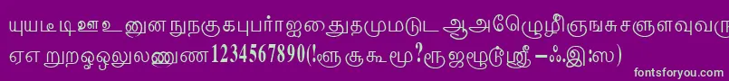 ThenmoliRegular Font – Green Fonts on Purple Background