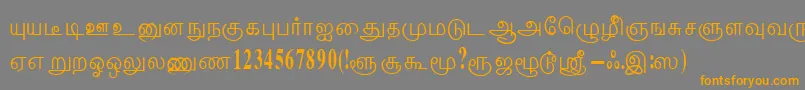 ThenmoliRegular Font – Orange Fonts on Gray Background