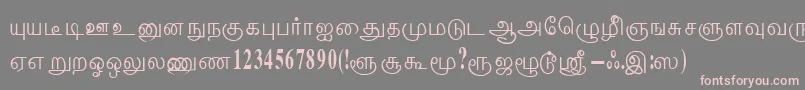 ThenmoliRegular Font – Pink Fonts on Gray Background