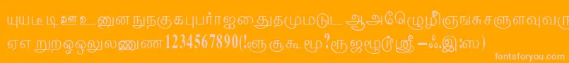 ThenmoliRegular Font – Pink Fonts on Orange Background