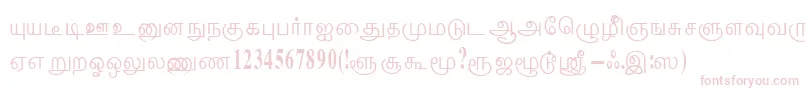 ThenmoliRegular Font – Pink Fonts on White Background