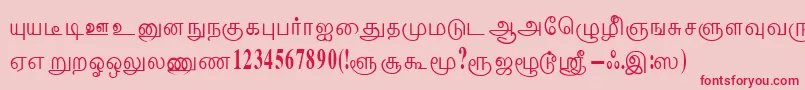 Шрифт ThenmoliRegular – красные шрифты на розовом фоне
