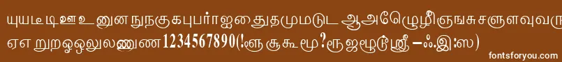 ThenmoliRegular Font – White Fonts on Brown Background