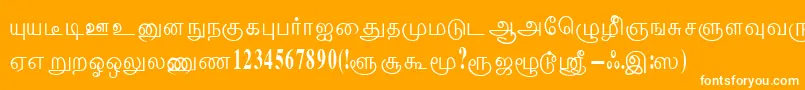 ThenmoliRegular Font – White Fonts on Orange Background