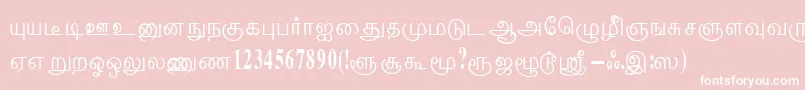 ThenmoliRegular Font – White Fonts on Pink Background