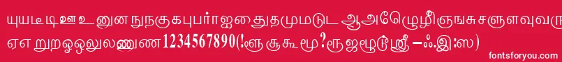 フォントThenmoliRegular – 赤い背景に白い文字