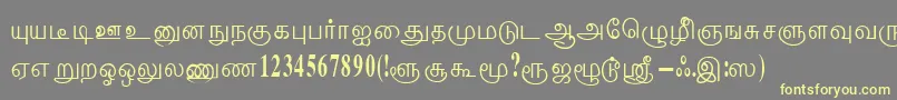 ThenmoliRegular Font – Yellow Fonts on Gray Background